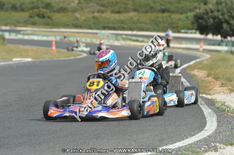 DSC (3683).JPG